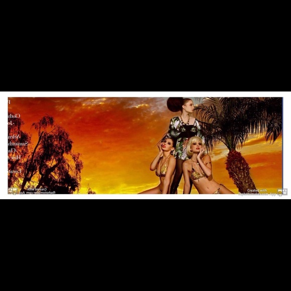 Meet your Posher, Susan - Picture 4 of 8